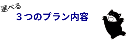 選べる3つのプラン内容